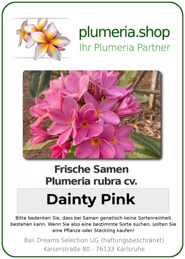 Plumeria rubra - "Dainty Pink- Seeds"