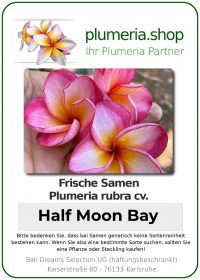 Plumeria rubra - "Half Moon Bay - Seeds"