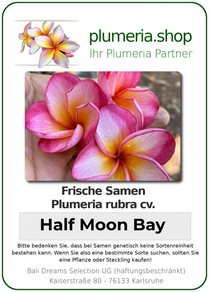 Plumeria rubra "Half Moon Bay"