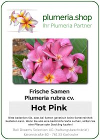 Plumeria rubra - "Hot Pink - Seeds"