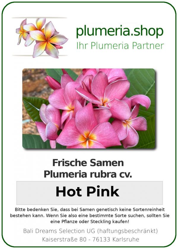 Plumeria rubra - &quot;Hot Pink - Seeds&quot;