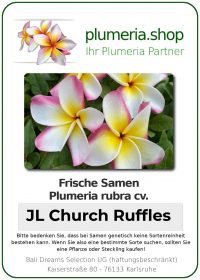 Plumeria rubra - "JL Church Ruffles- Seeds"
