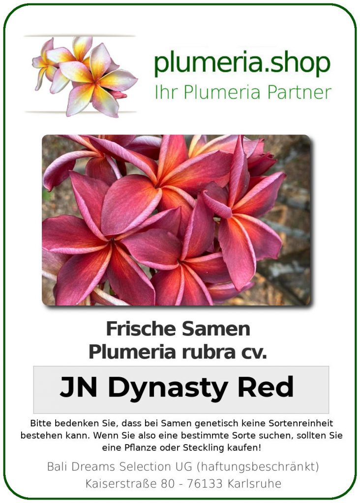 Plumeria rubra "JN Dynasty Red"
