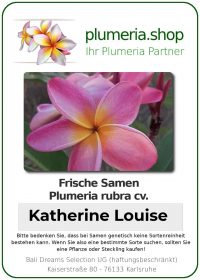 Plumeria rubra - &quot;Katherine Louise- Seeds&quot;