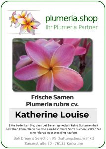 Plumeria rubra - "Katherine Louise- Seeds"