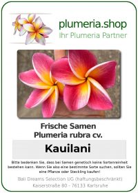 Plumeria rubra - "Kauilani- Seeds"