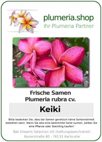 Plumeria rubra - &quot;Keiki- Seeds&quot;