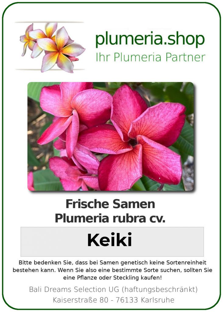 Plumeria rubra "Keiki"