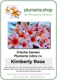 Plumeria rubra - "Kimbery Rose - Seeds"