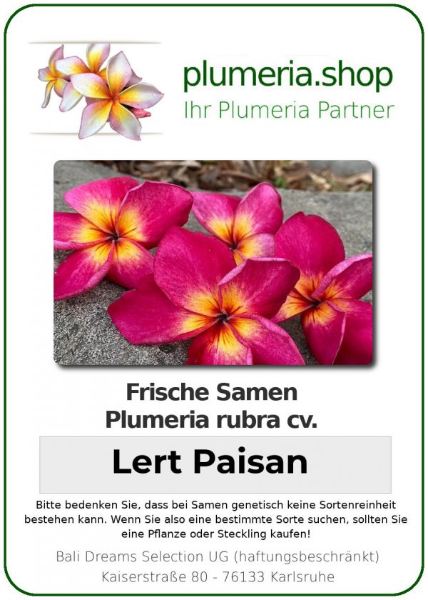 Plumeria rubra - "Lert Paisan - Seeds"