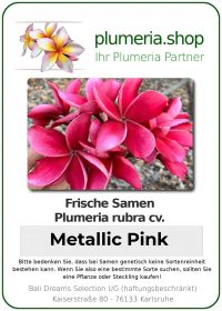 Plumeria rubra - &quot;Metallic Pink- Seeds&quot;