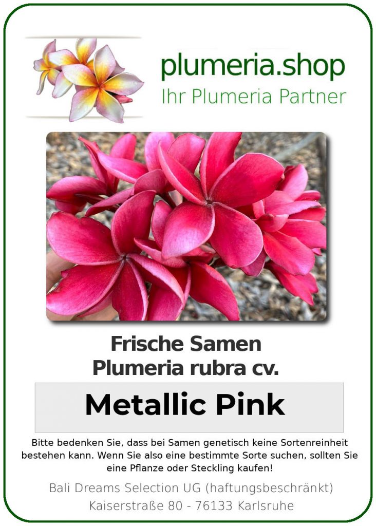 Plumeria rubra "Metallic Pink"