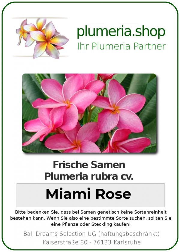Plumeria rubra - &quot;Miami Rose - Seeds&quot;