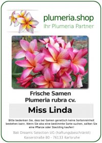 Plumeria rubra - "Miss Linda - Seeds"