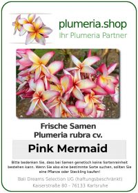Plumeria rubra - "Pink Mermaid- Seeds"