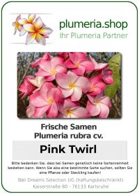 Plumeria rubra - "Pink Twirl- Seeds"