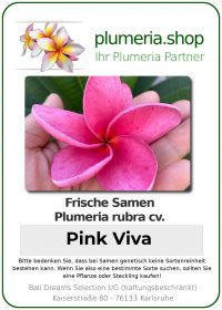 Plumeria rubra - &quot;Pink Viva - Seeds&quot;