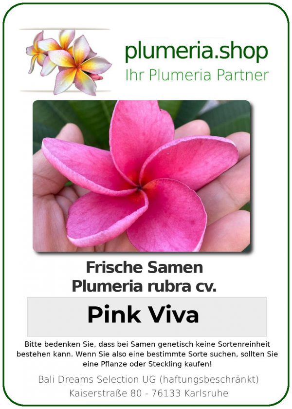 Plumeria rubra - "Pink Viva - Seeds"