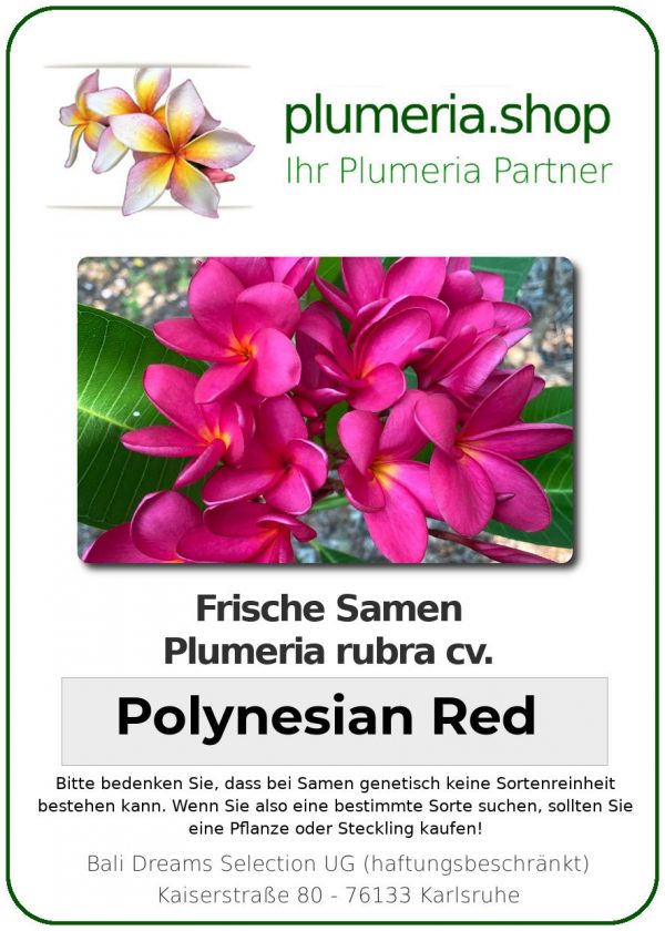 Plumeria rubra - "Polynesian Red - Seeds"