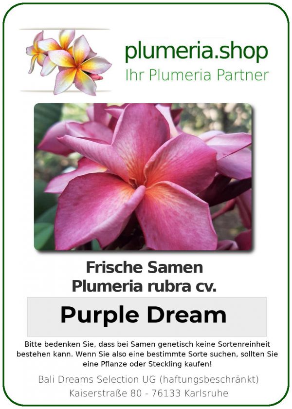 Plumeria rubra - &quot;Purple Dream - Seeds&quot;