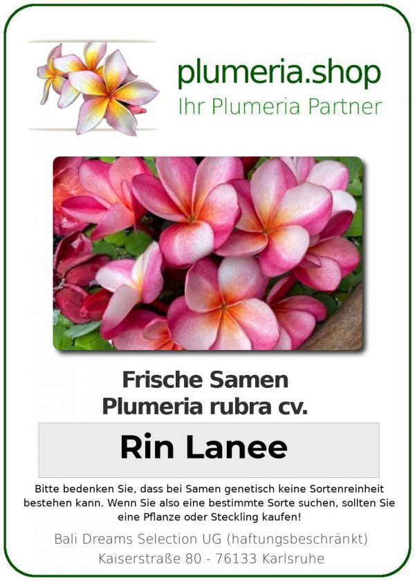 Plumeria rubra - &quot;Rin Lanee - Seeds&quot;