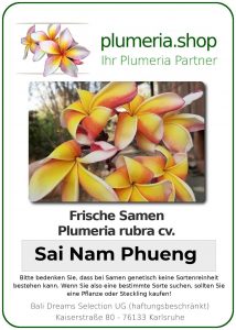 Plumeria rubra - "Sai Nam Phueng - Seeds"