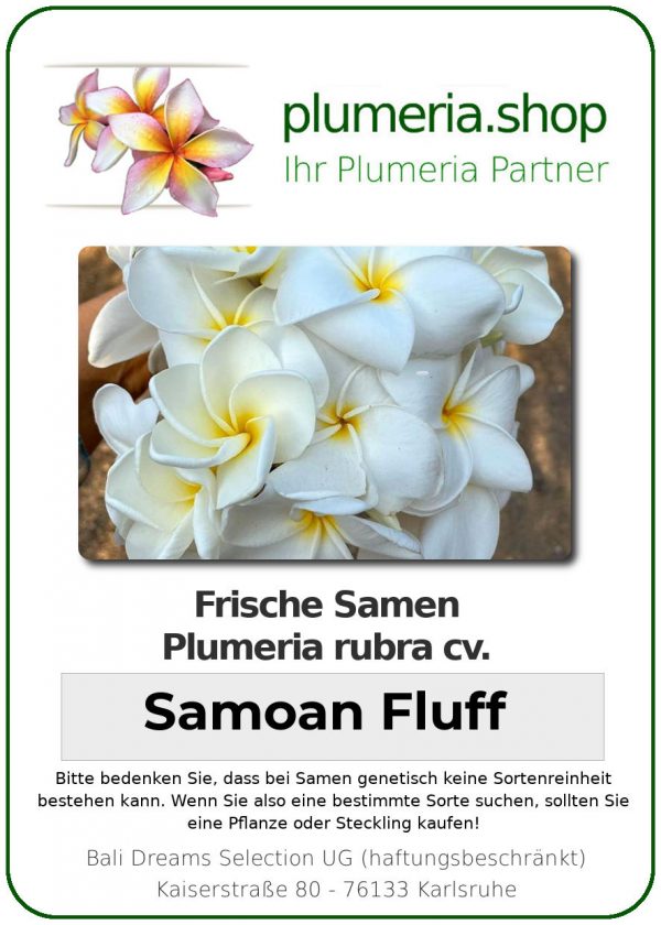 Plumeria rubra - "Samoan Fluff - Seeds"