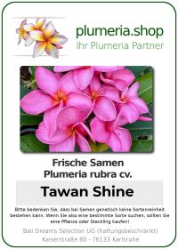 Plumeria rubra - "Tawan Shine - Seeds"