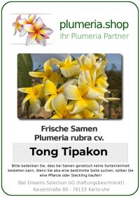 Plumeria rubra - "Tong Tipakon - Seeds"