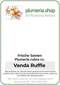 Plumeria rubra - "Vanda Ruffle - Seeds"
