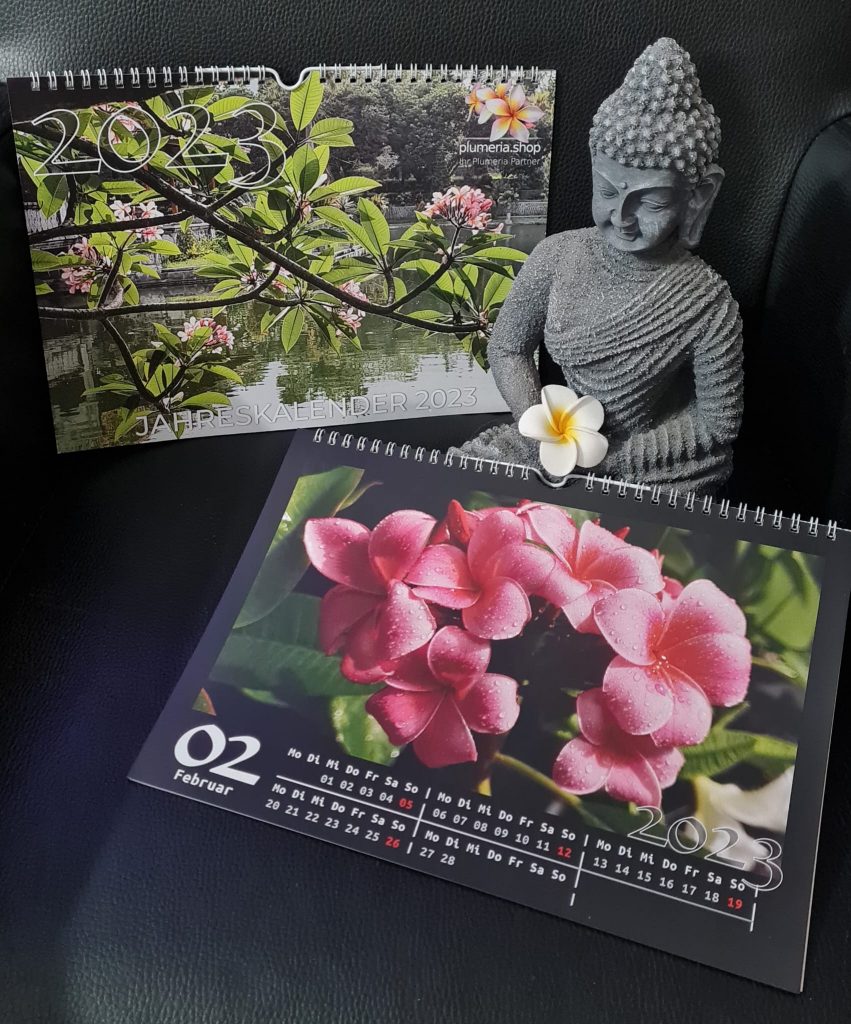 Jahreskalender (Wandkalender) im A4 Querformat, 2023