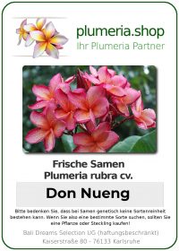 Plumeria rubra - "Don Nueng"
