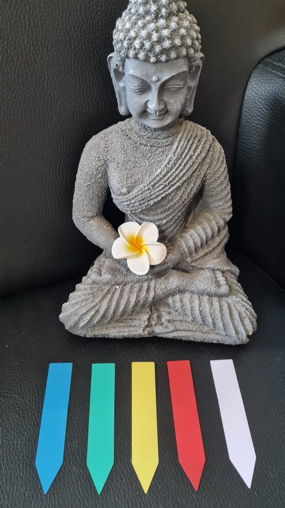 Pflanzenetiketten, farbig, 10x2cm, 5er Set