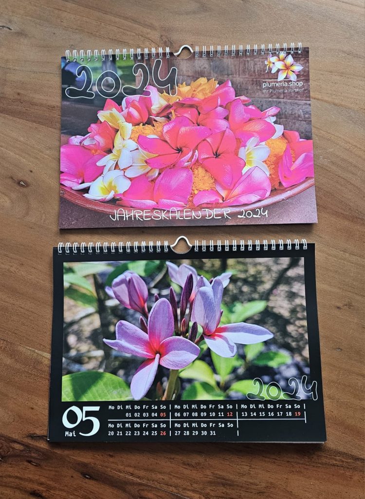 Jahreskalender (Wandkalender) im A4 Querformat, 2024 + 2 Tüten Plumeria Samen