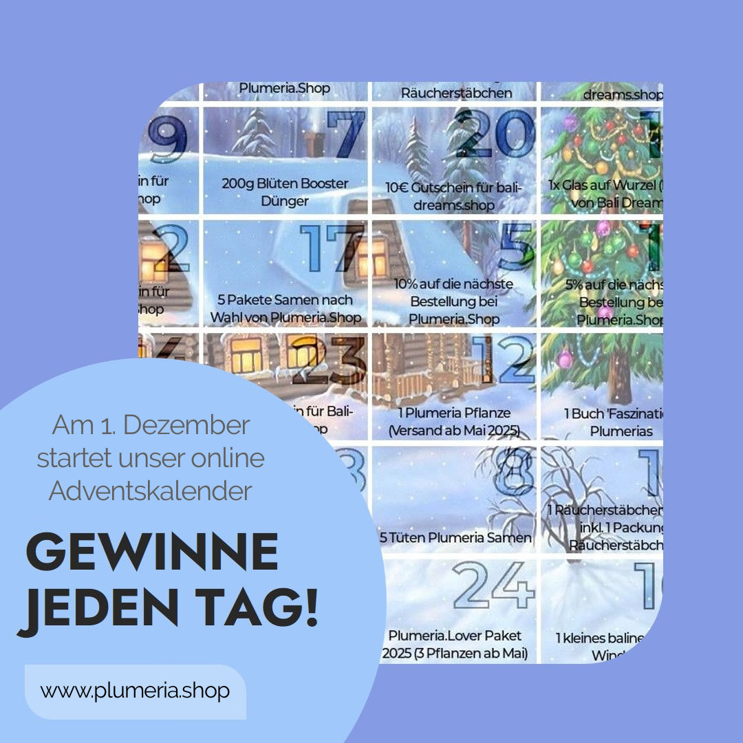 Adventskalender 2024