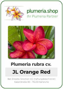Plumeria rubra - "JL Orange Red"