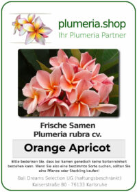Plumeria rubra - "Orange Apricot"