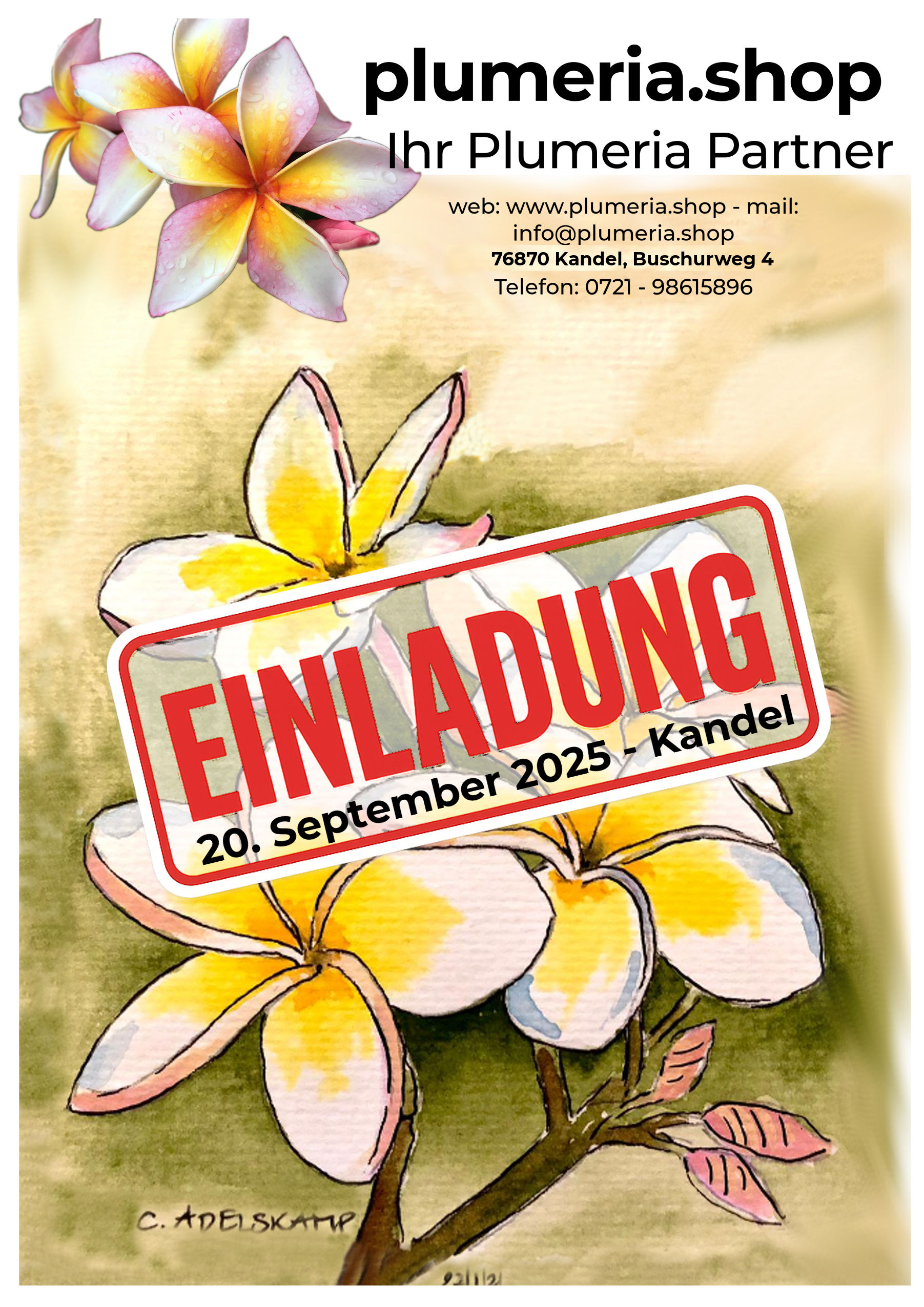 Einladung Saisonabschluss 2025