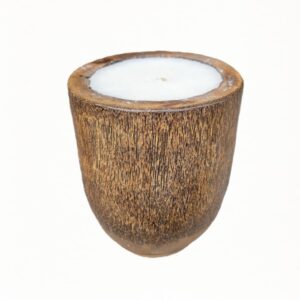 Kerze in einer Palmenvase