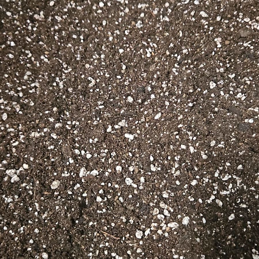 Plumeria Erde „Green Thumb“ - 25.0L