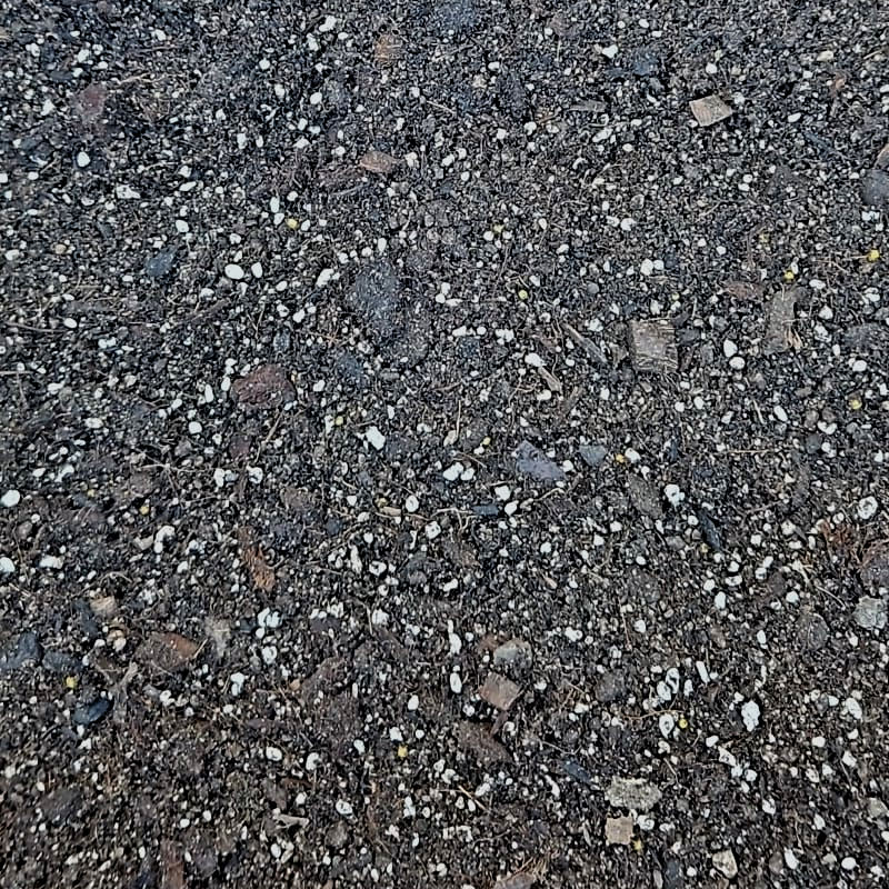 Plumeria Spezialerde „Maestro Power Mix“ - 5.0L