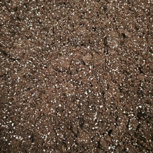 Plumeria Erde für Samen „Seedlings Best“