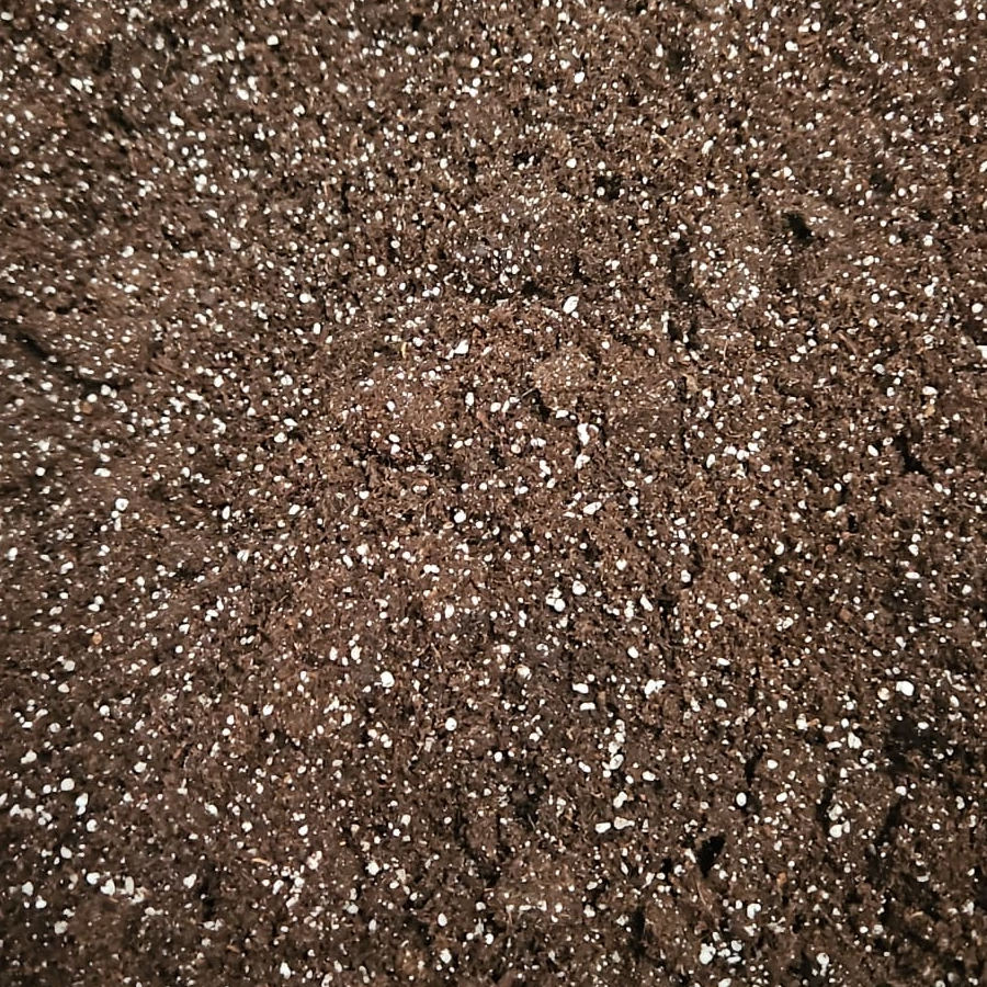 Plumeria Erde für Samen „Seedlings Best“ - 4.0L