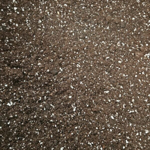 Plumeria Erde für Stecklinge „Growers Finest“