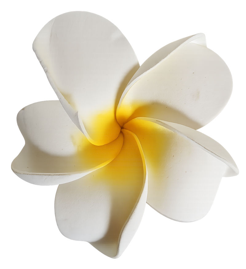 Plumeria Schaumblüte als Dekoration, Durchmesser 11,5cm
